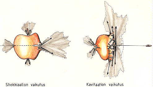 omena2.jpg (17204 bytes)