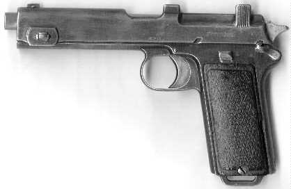 steyr11.jpg (10804 bytes)